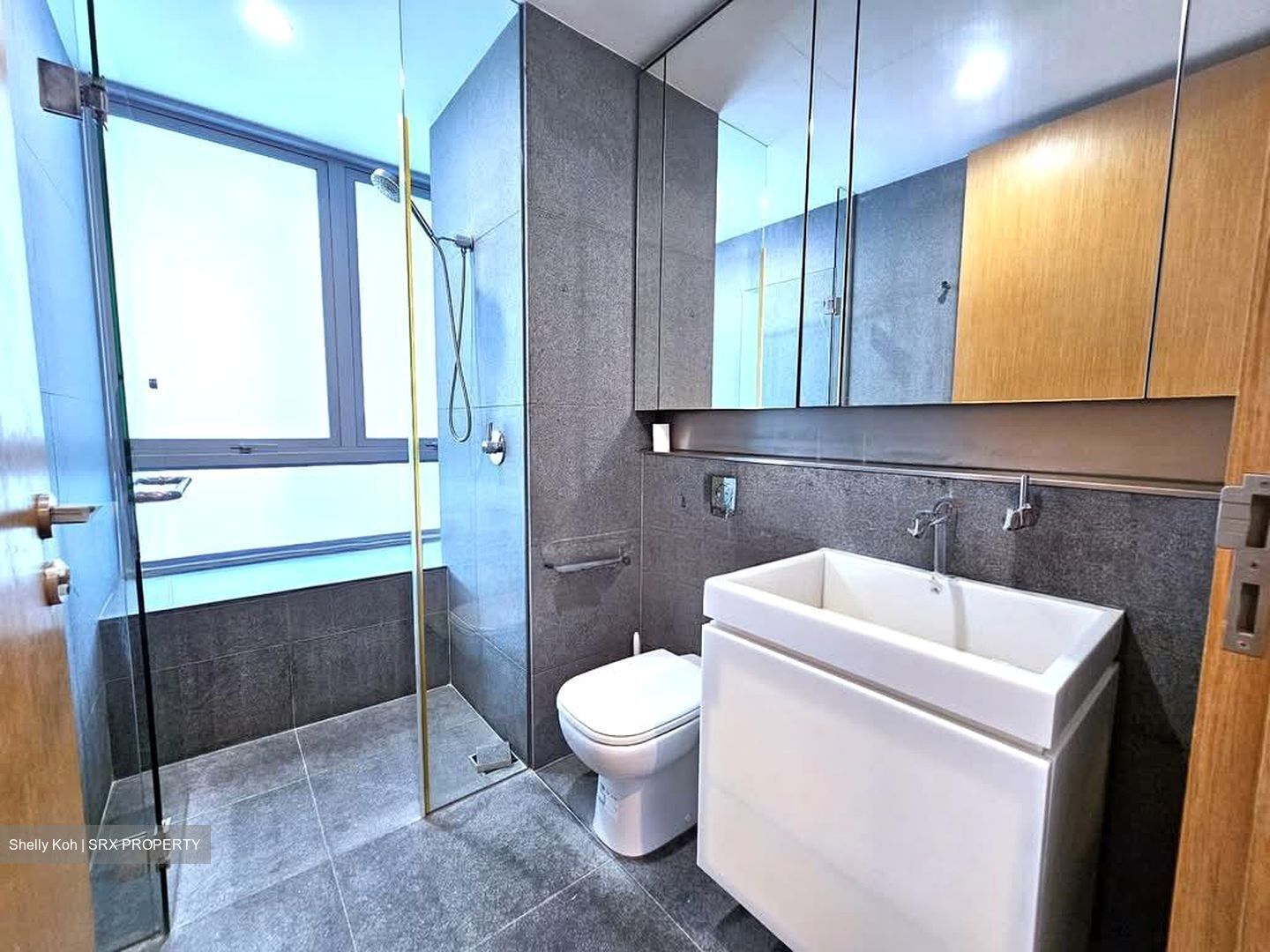 Gilstead Two (D11), Apartment #558762751